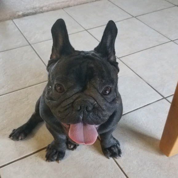 Meet your Posher, Kim - Picture 1 of 1